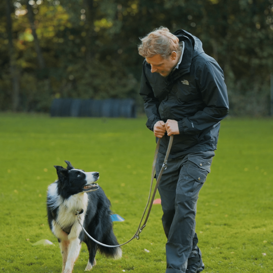 - leinenfuehrung - Online Hundeschule