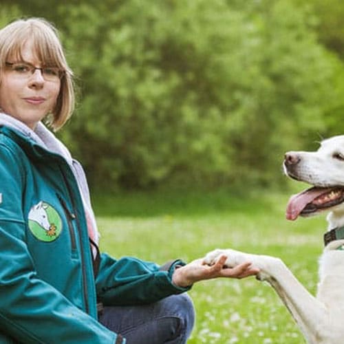 team2 DOGmartens Trainerin beim Pfotentraining mit einem Hund