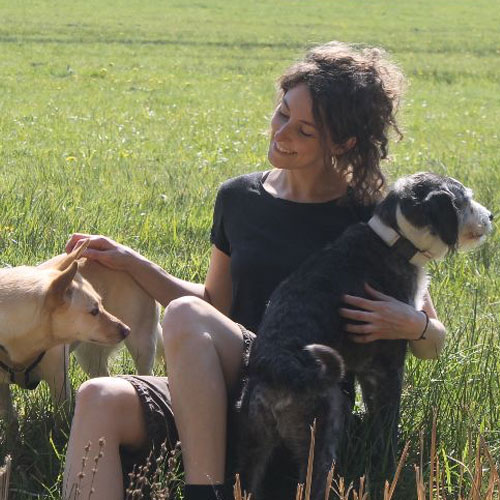 team3 DOGmartens Trainerin mit Hunden auf einer Wiese