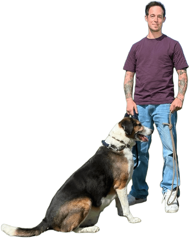 MartnesNick Nick Martens, Hundetrainer bei DOGmartens