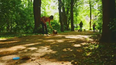 DOGmartens Mantrailing im Wald
