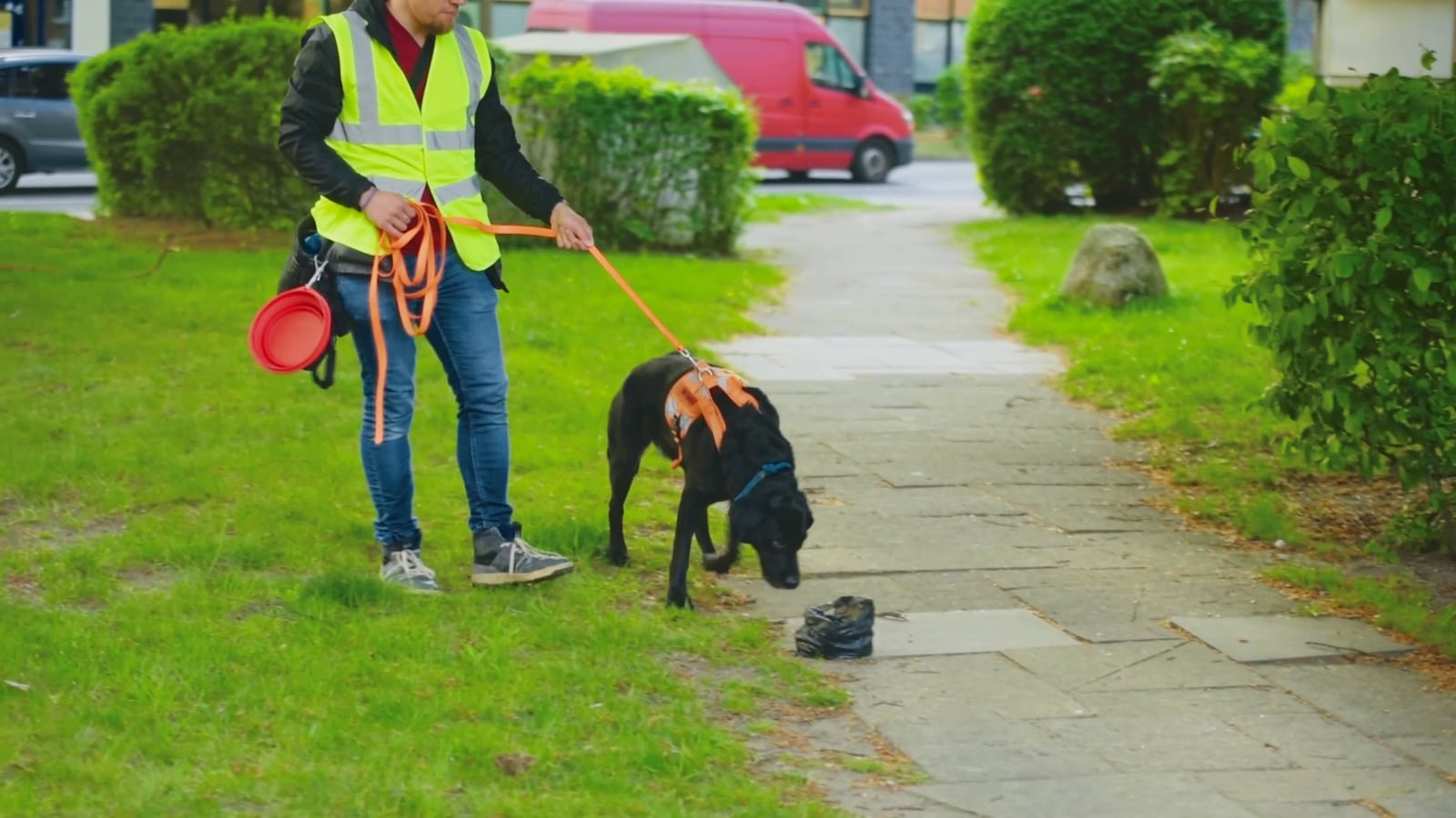 DOGmartens Antigiftködertraining DOGmartens Antigiftködertraining