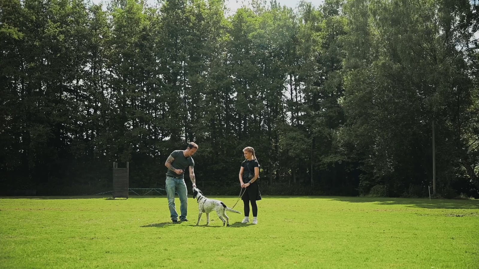 DOGmartens Basiskurs Alltag und Erziehung DOGmartens Basiskurs Alltag und Erziehung