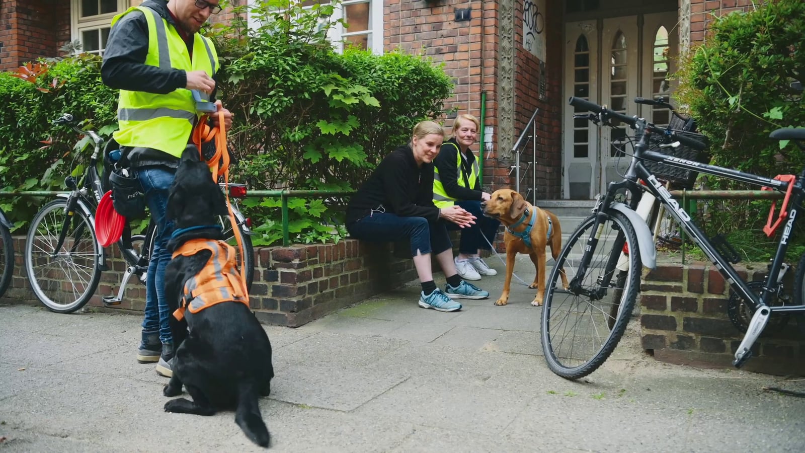 Einzeltraining / Verhaltenstraining