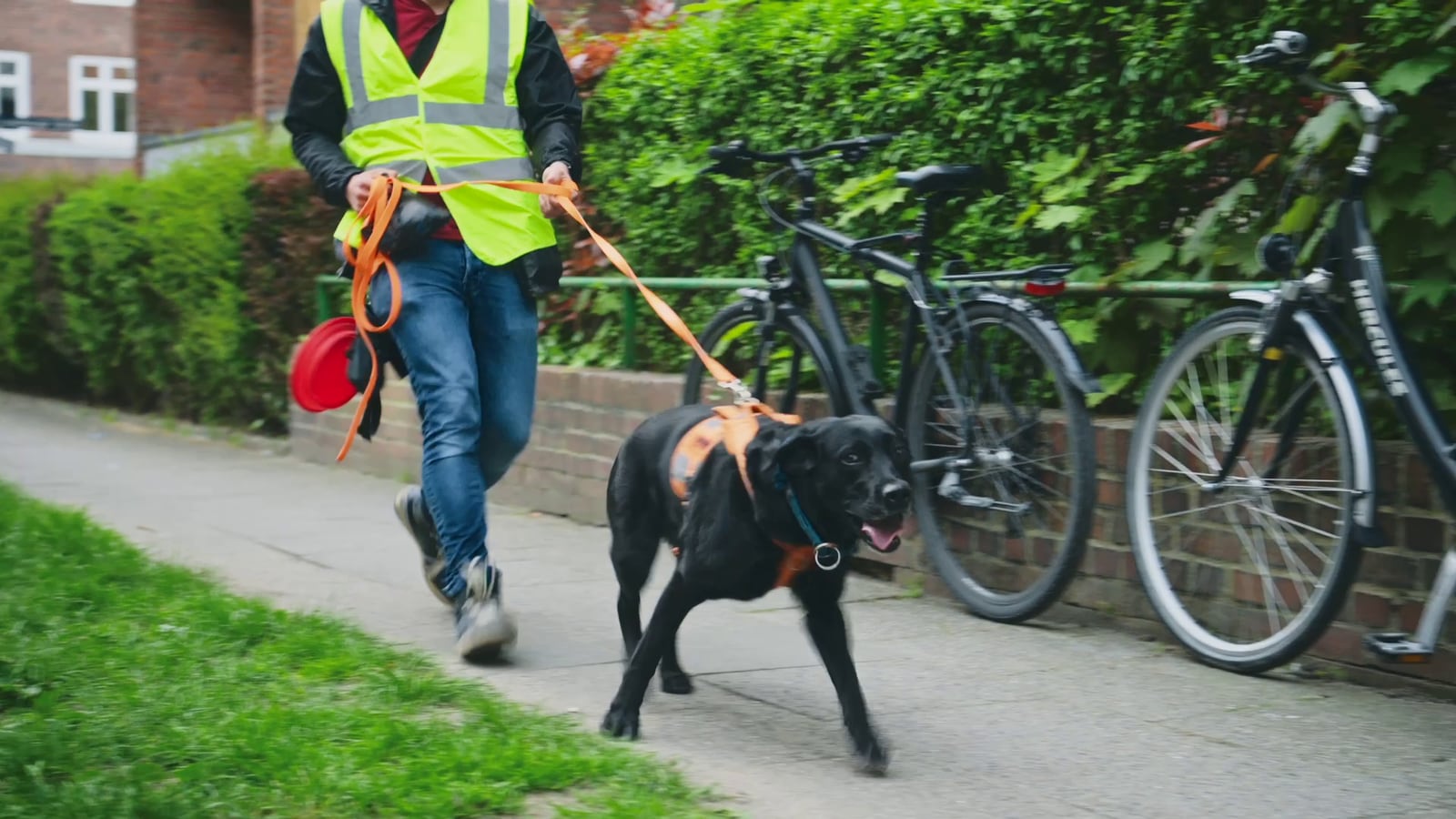DOGmartens Leinenführigkeit im Alltag DOGmartens Leinenführigkeit im Alltag