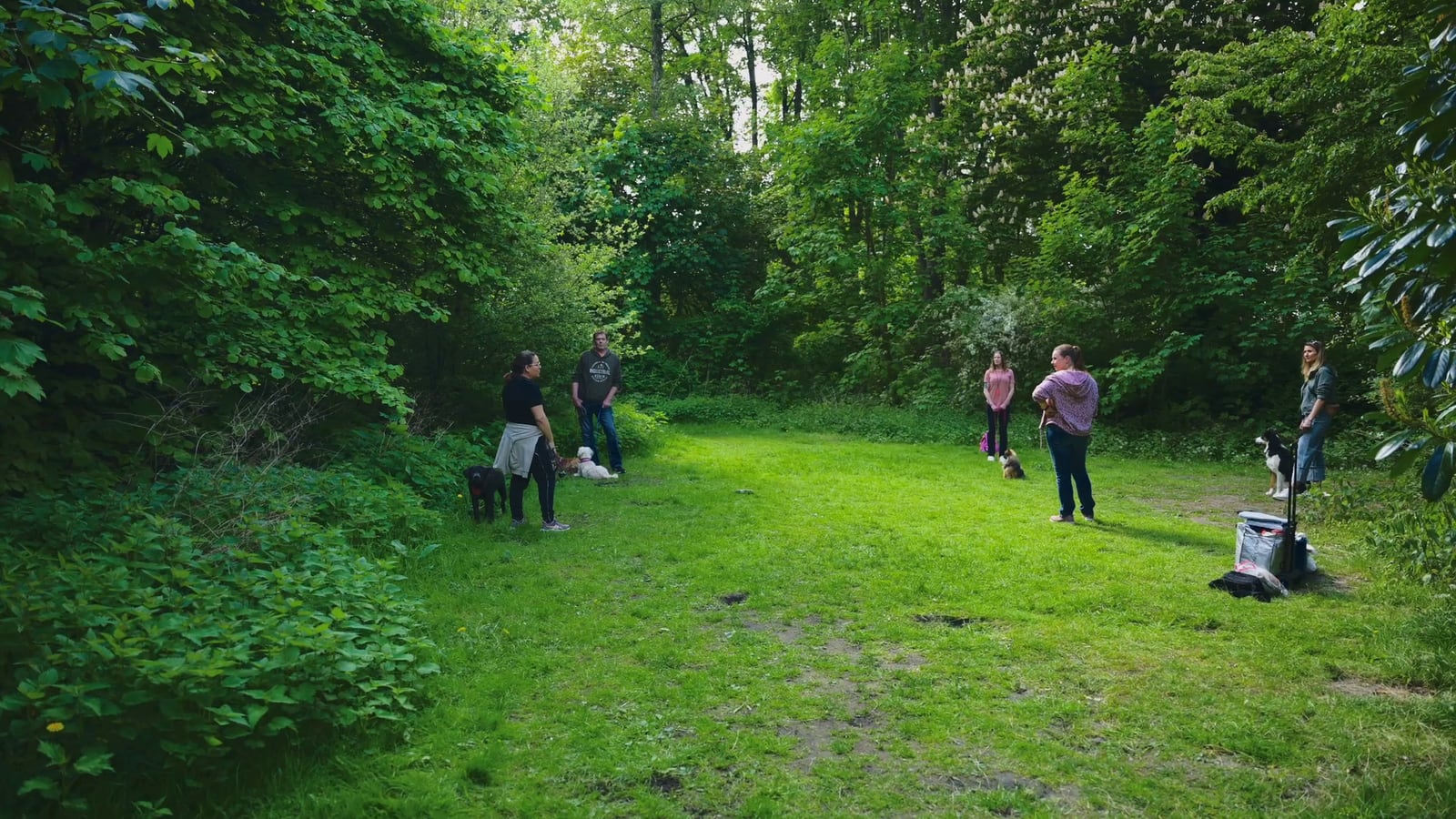 DOGmartens Rückruftraining im Grünen DOGmartens Rückruftraining im Grünen